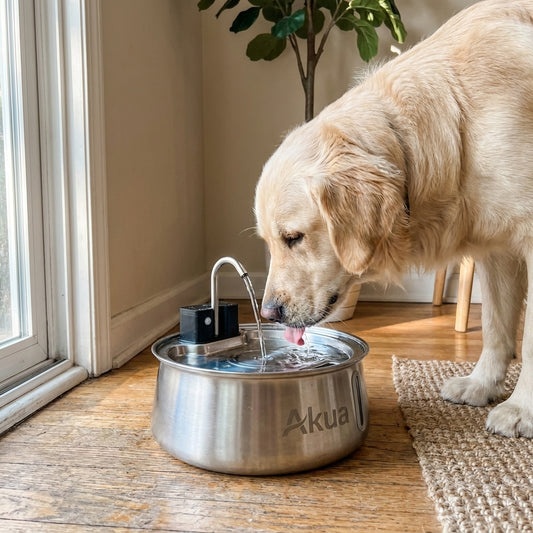 Akua® Wireless Dog Fountain